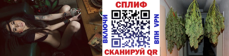 Шишки марихуана Amnesia Набережные Челны